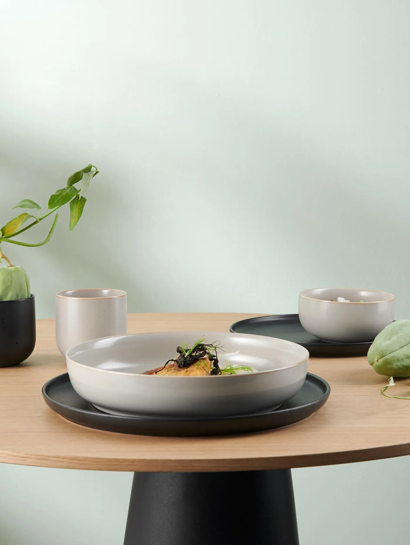 ASA Gourmetteller COPPA