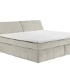 ED LIFESTYLE Boxbett BEARFORD