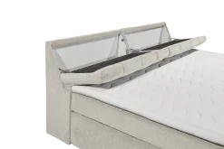 ED LIFESTYLE Boxbett BEARFORD