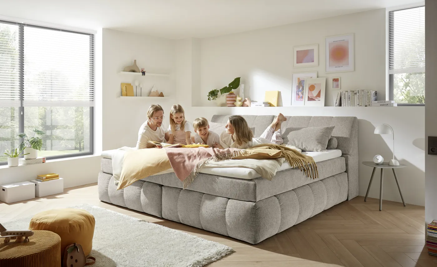ED LIFESTYLE Boxbett BEARFORD