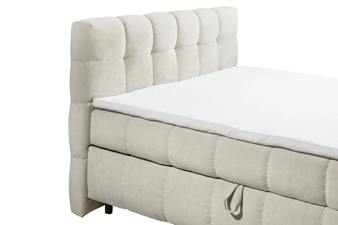 ED LIFESTYLE Boxbett KYLIE