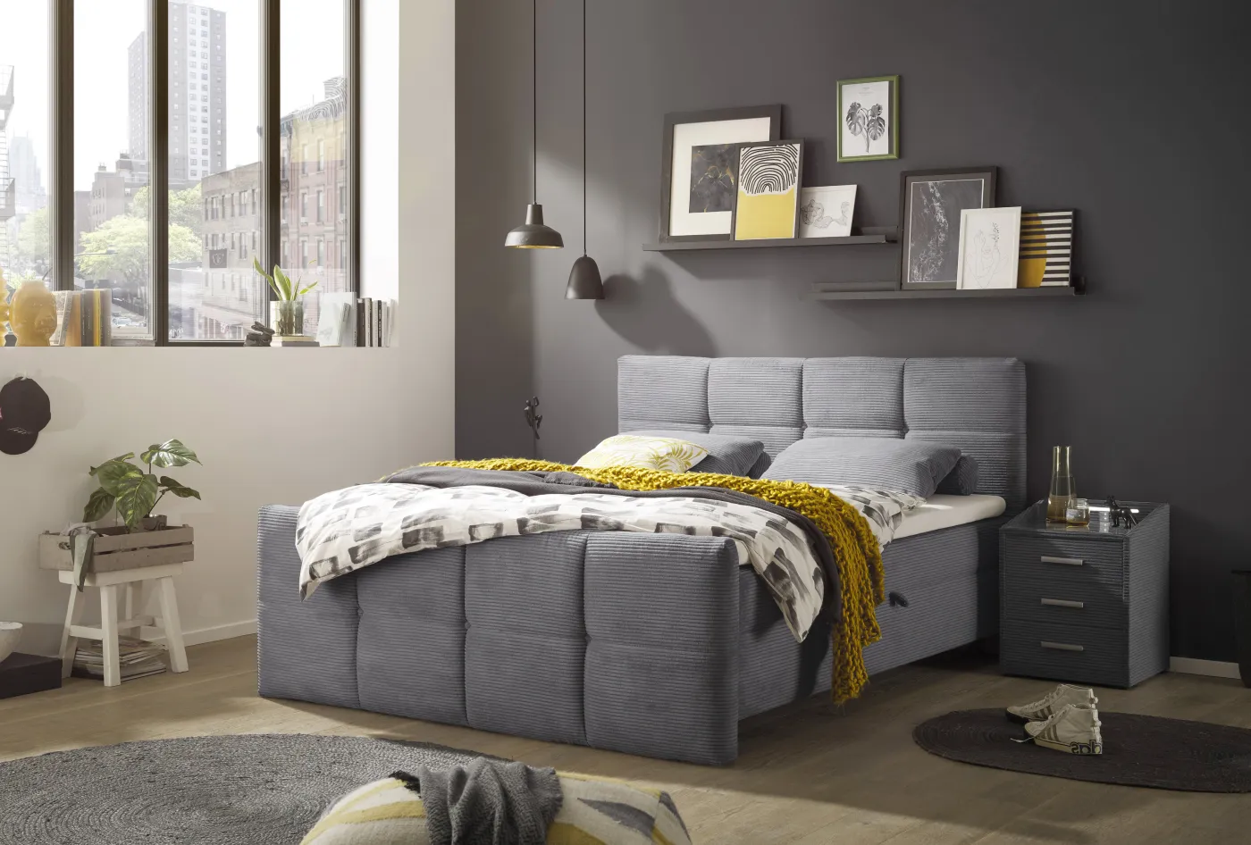 ED LIFESTYLE Boxbett TIJUANA