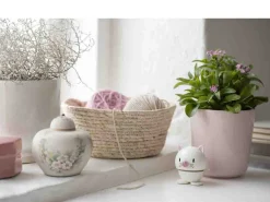 Hoptimist CAT
