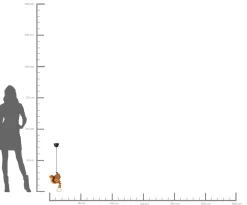 KARE Hängeleuchte ANIMAL SQUIRREL