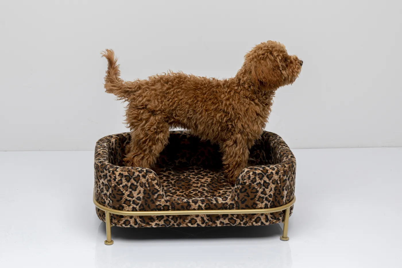 KARE Hundebett DIVA
