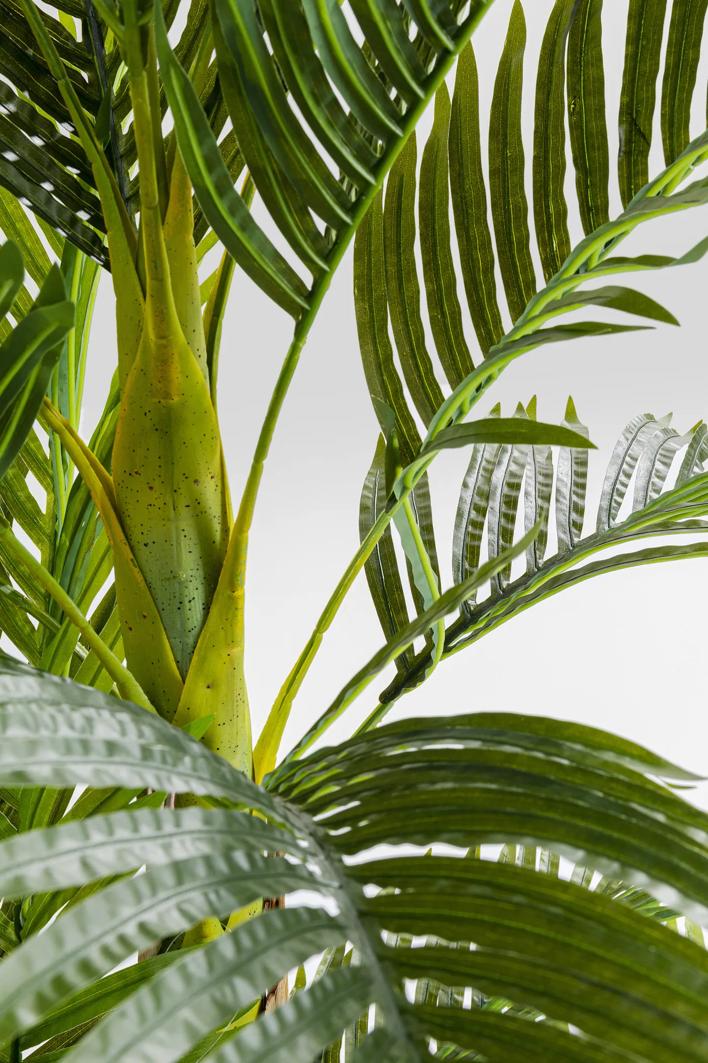 KARE Kunstpflanze PALM TREE