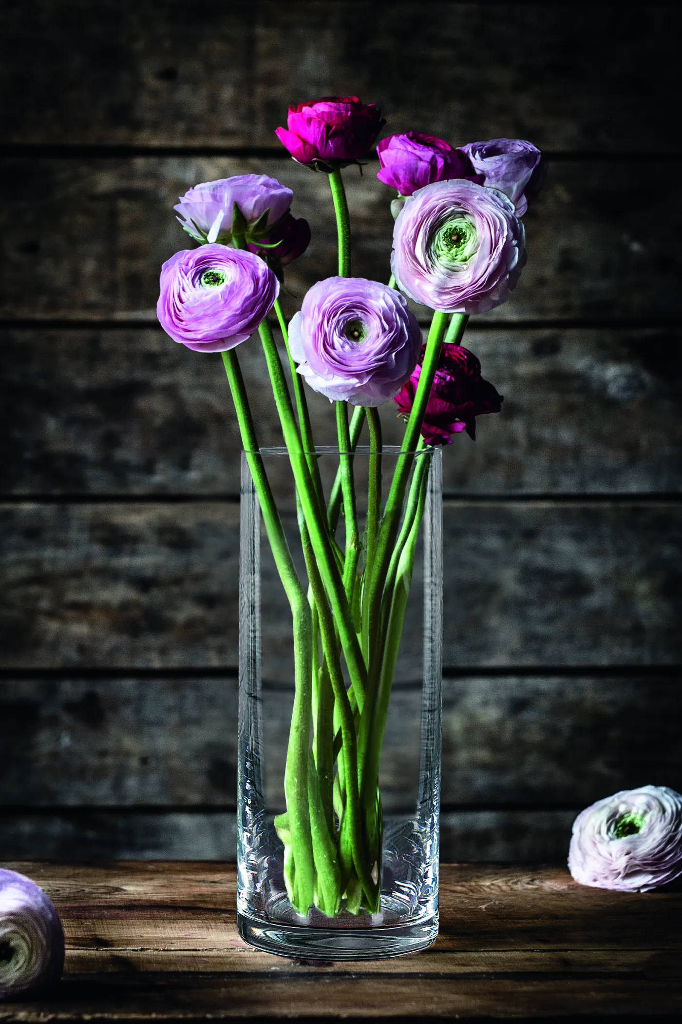NACHTMANN Vase STYLE