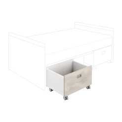 PAIDI Rollbox KIRA