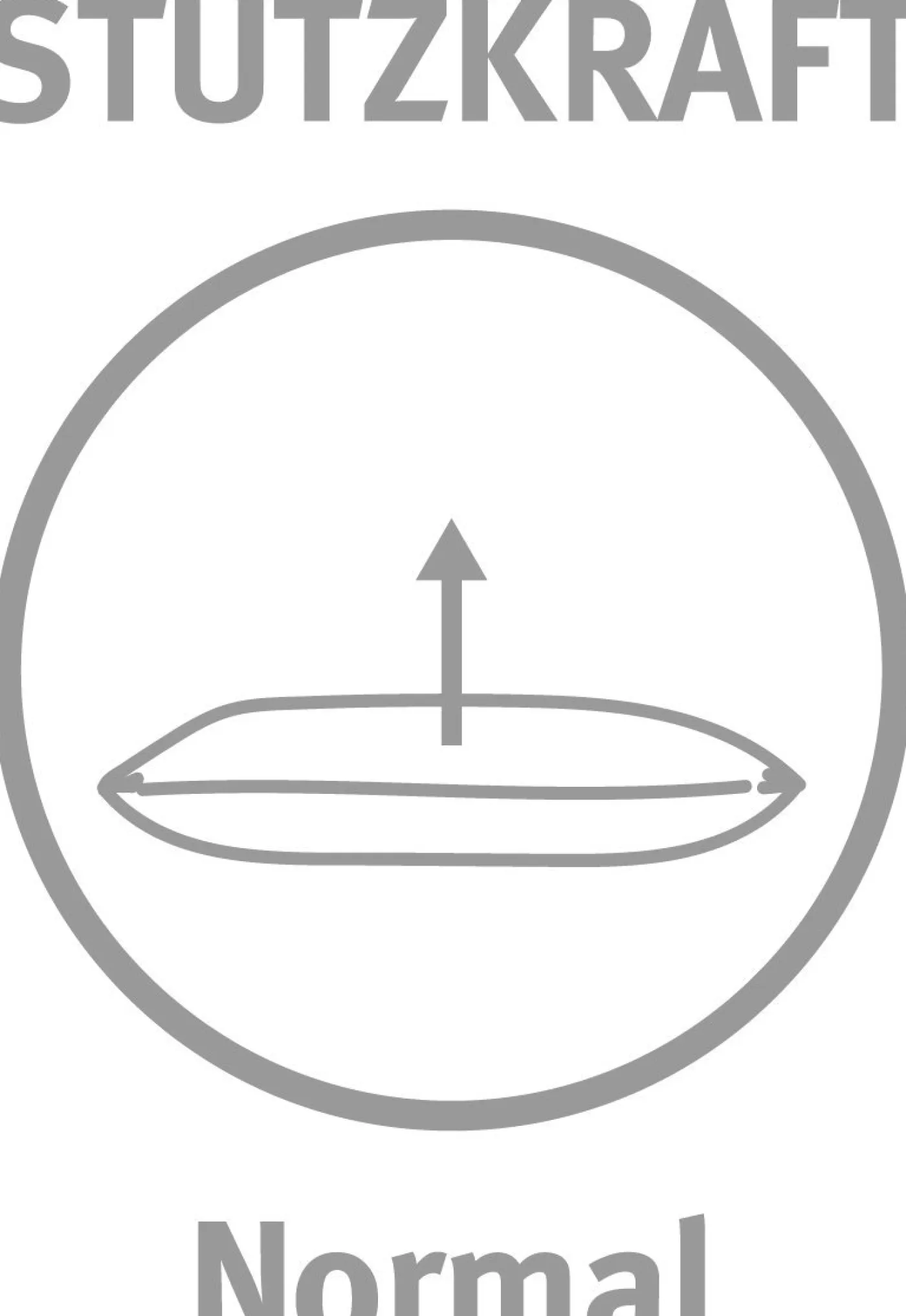 PARADIES Kopfkissen MALEA BIO MEDIUM