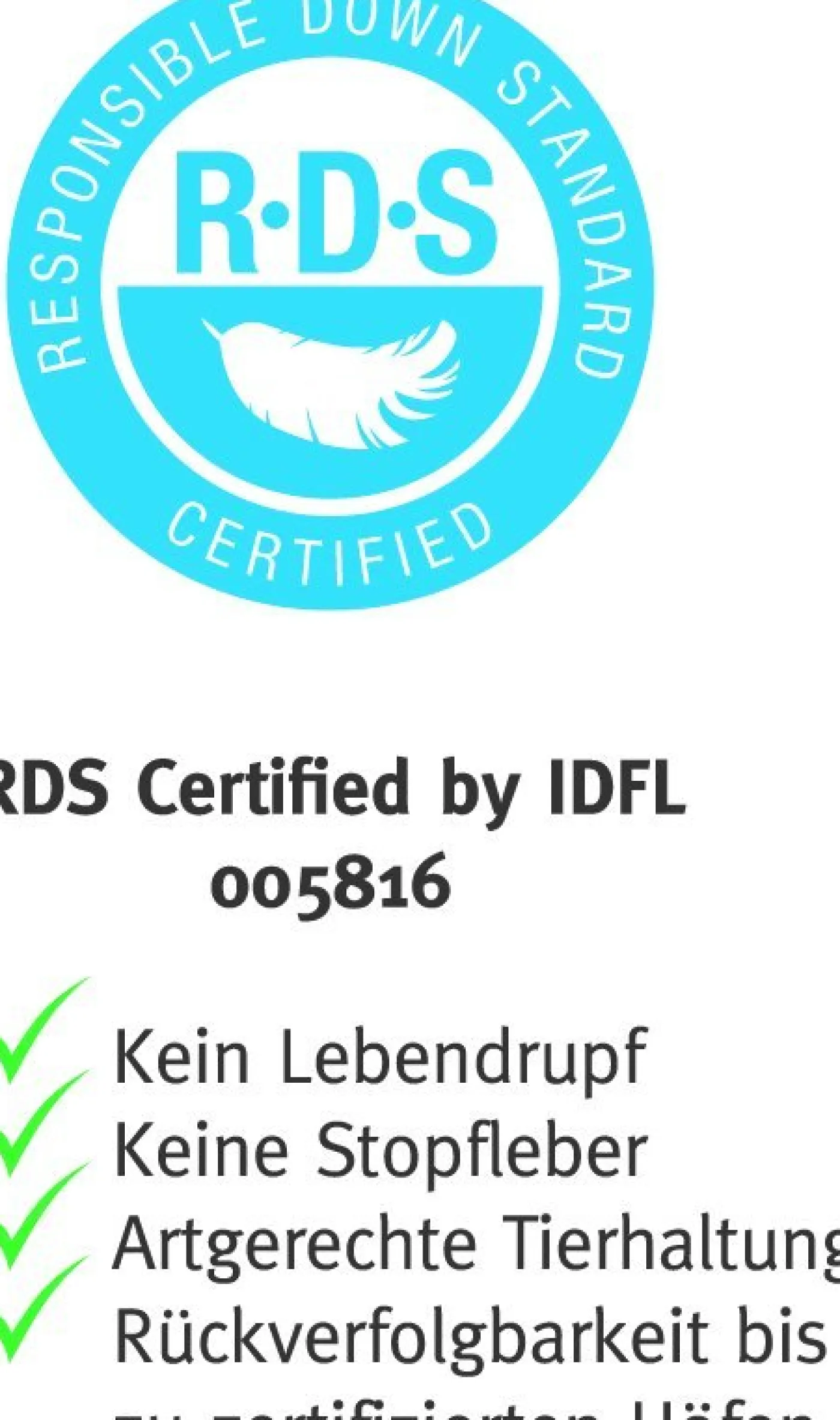 PARADIES Kopfkissen MALEA BIO MEDIUM