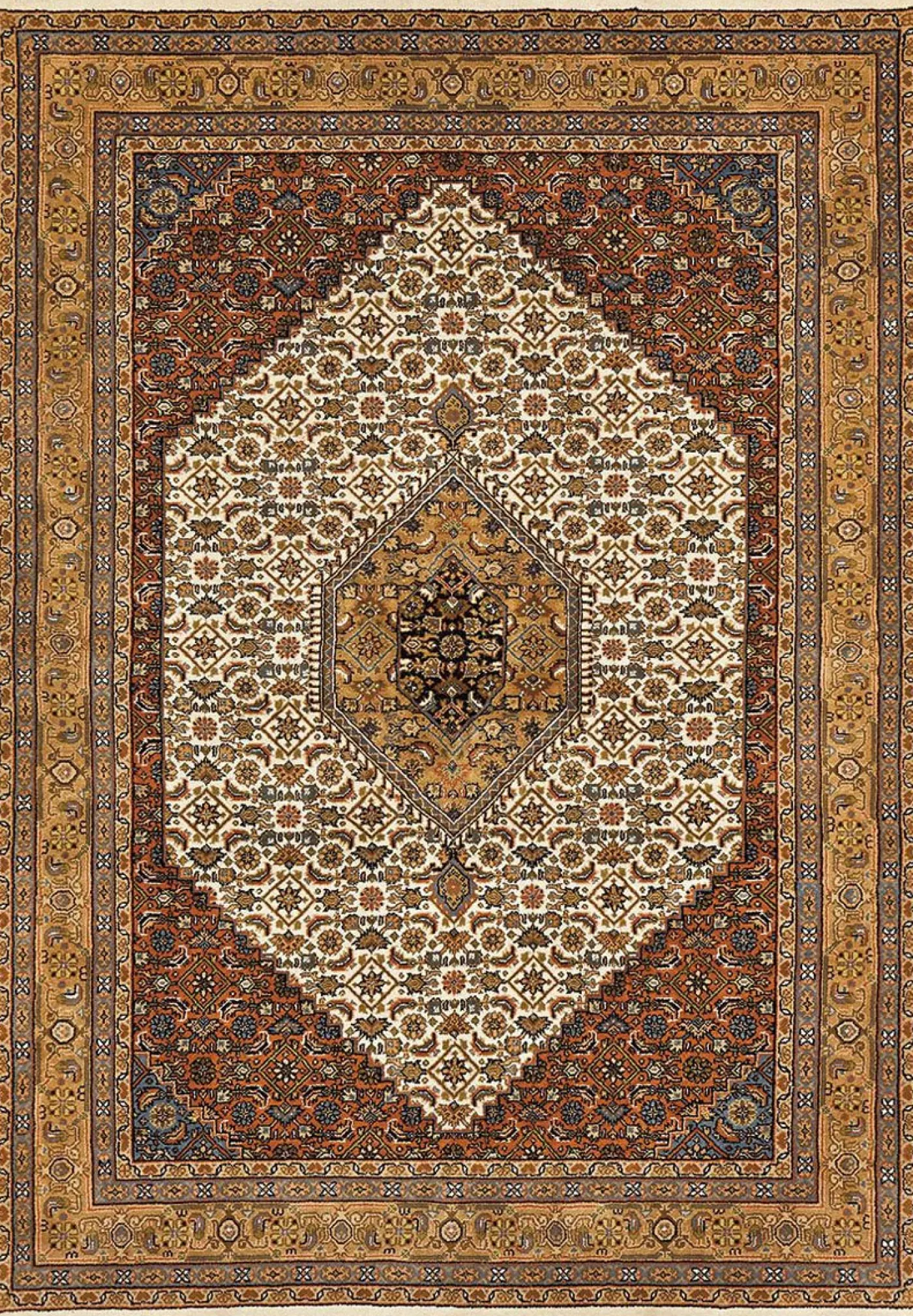 Teppich ARAS BIDJAR